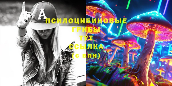 2c-b Бородино