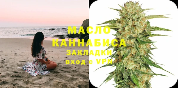 2c-b Бородино