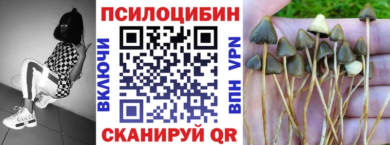 Псилоцибиновые грибы Cubensis  mega сайт  Грязи 